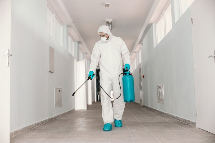 Does Termite Inspection Detect Infestation After Flooding
